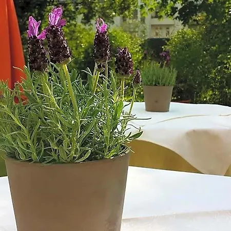 Mingarden 4* Düsseldorf